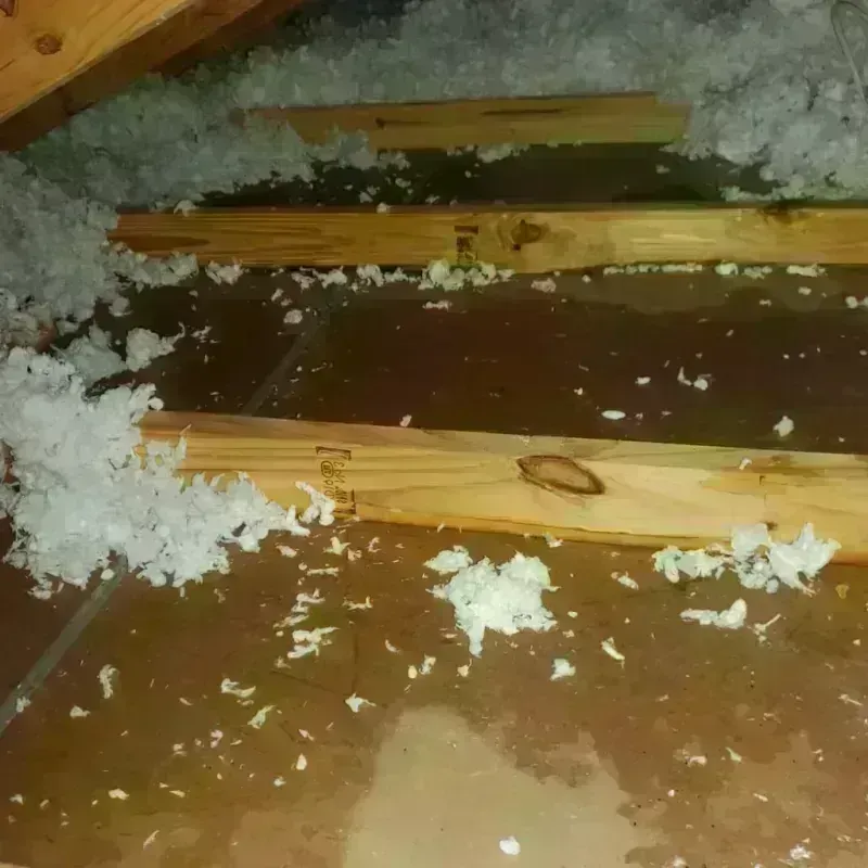 Attic Water Damage in Saint John, MO