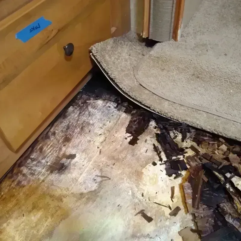 Wood Floor Water Damage in Saint John, MO